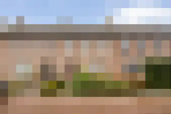 Kennedylaan 4 Oirschot thumbnail 34