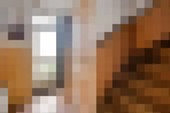 Kennedylaan 4 Oirschot thumbnail 7