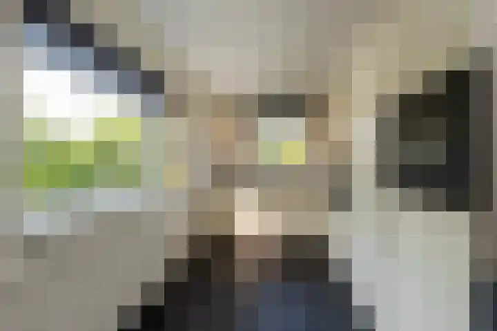 Kennedylaan 45 Ossendrecht thumbnail 18