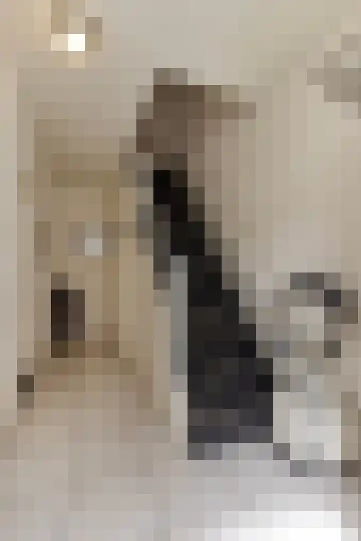 Kennedylaan 45 Ossendrecht thumbnail 4