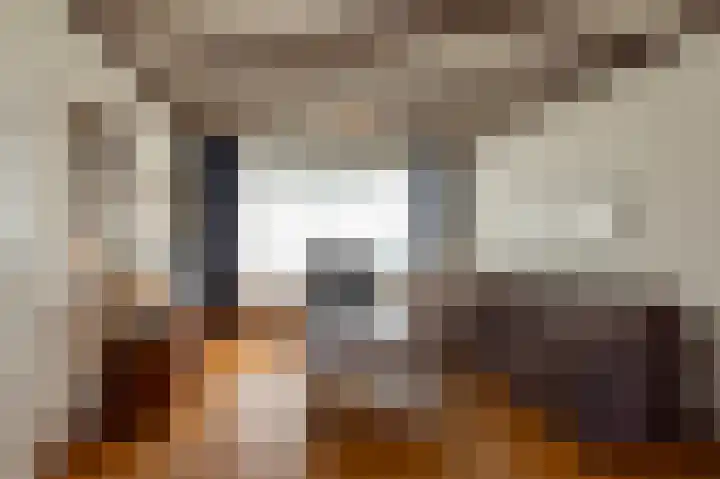 Kennedylaan 45 Ossendrecht thumbnail 7
