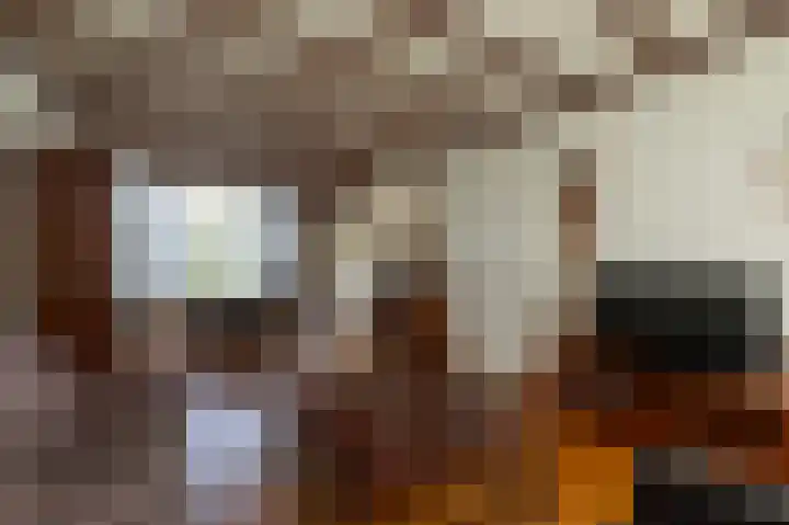 Kennedylaan 45 Ossendrecht thumbnail 8