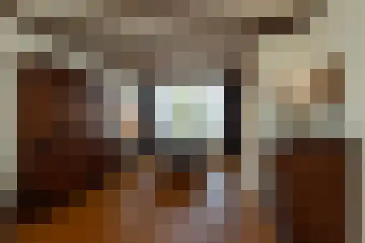 Kennedylaan 45 Ossendrecht thumbnail 9