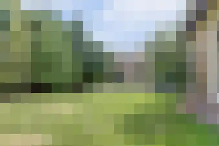 Kennedylaan 49 Bergeijk thumbnail 26