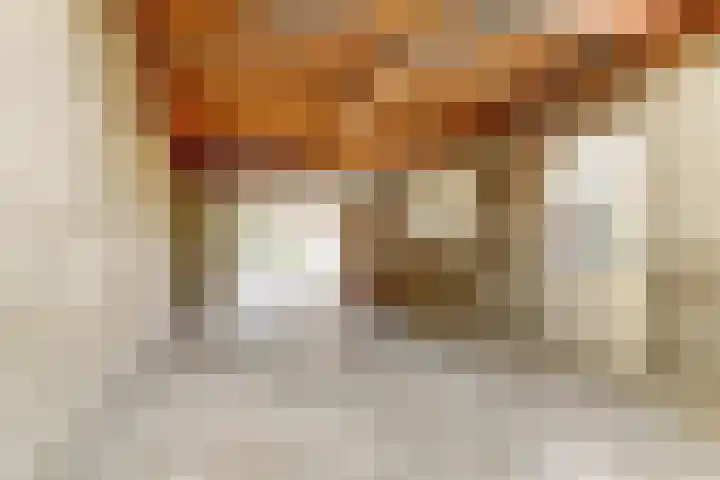 Kennedylaan 49 Bergeijk thumbnail 28