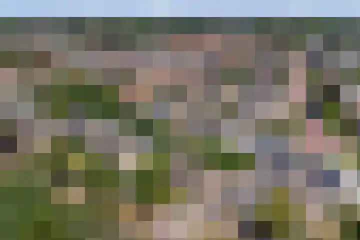 Kennedylaan 49 Bergeijk thumbnail 30
