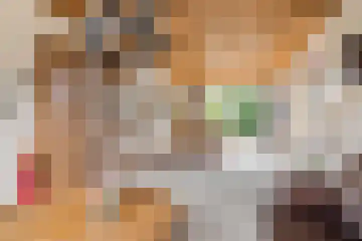 Kennedylaan 5 Meijel thumbnail 11