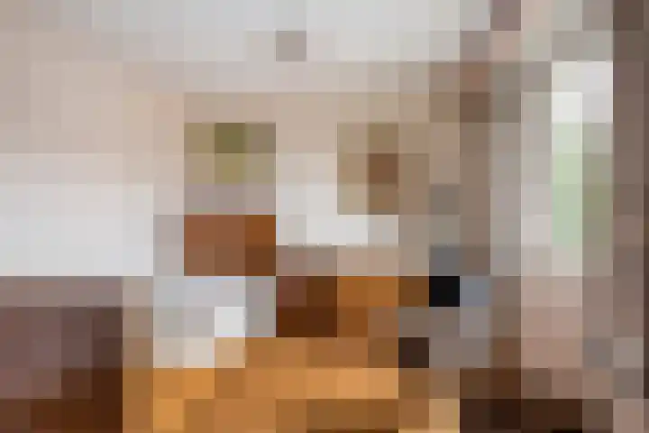 Kennedylaan 5 Meijel thumbnail 22