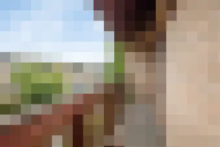 Kennedylaan 5 Meijel thumbnail 28