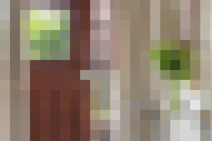 Kennedylaan 5 Meijel foto 3