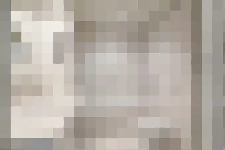 Kennedylaan 5 Meijel thumbnail 31