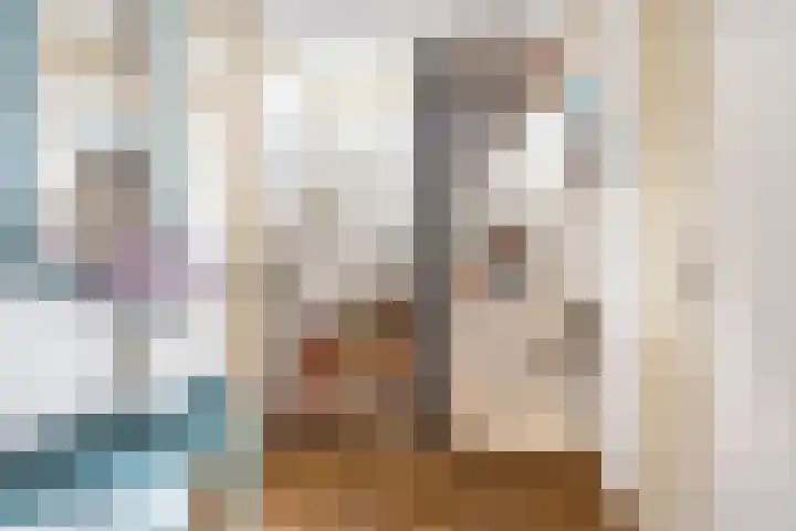 Kennedylaan 5 Meijel thumbnail 33