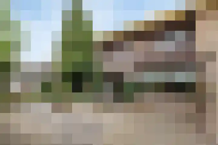 Kennedylaan 5 Meijel thumbnail 40