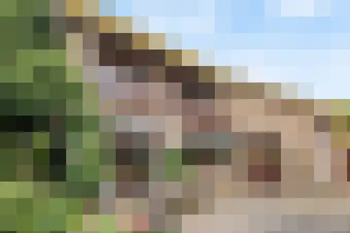Kennedylaan 5 Meijel thumbnail 41