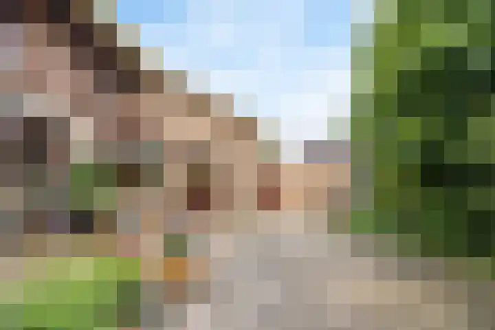 Kennedylaan 5 Meijel thumbnail 42