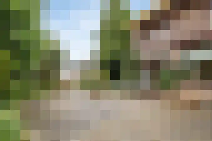Kennedylaan 5 Meijel thumbnail 43