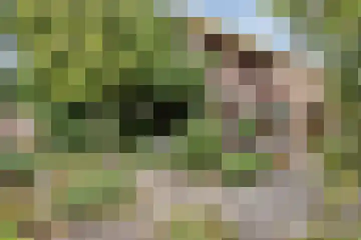 Kennedylaan 5 Meijel thumbnail 45