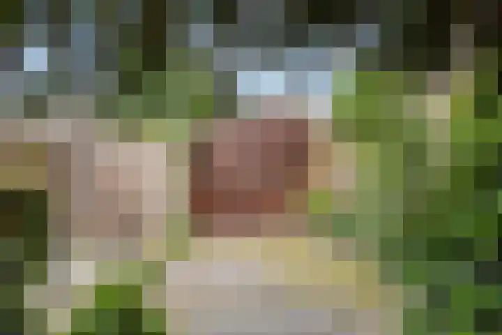 Kennedylaan 5 Meijel thumbnail 46