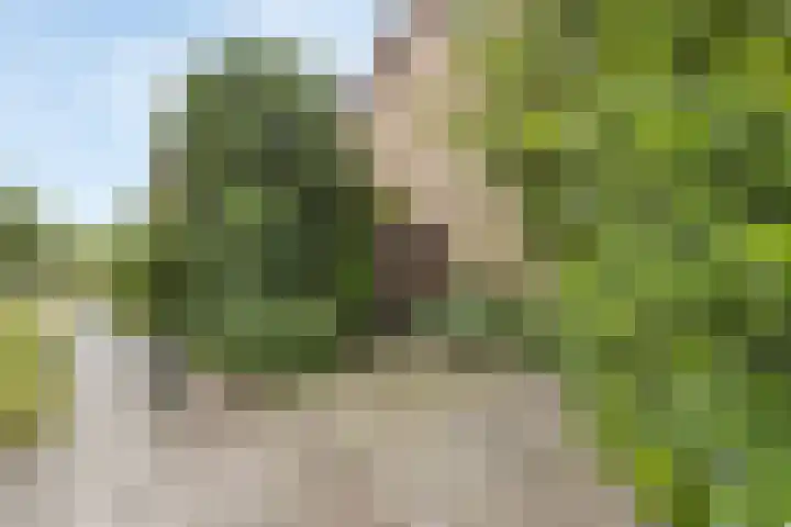 Kennedylaan 5 Meijel thumbnail 48