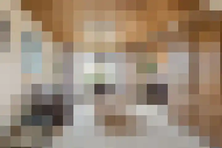 Kennedylaan 5 Meijel thumbnail 5