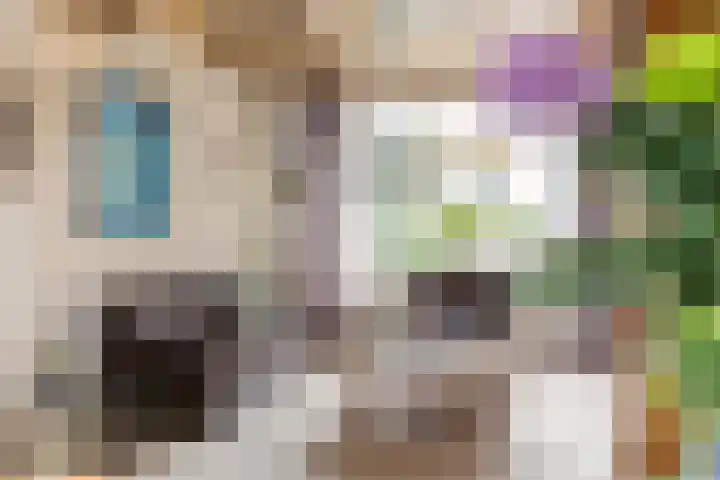 Kennedylaan 5 Meijel thumbnail 6