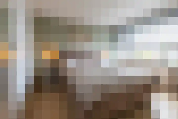 Kennedylaan 51 Ossendrecht thumbnail 19