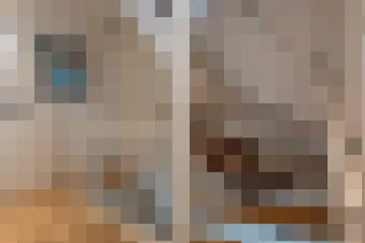 Kennedylaan 51 Ossendrecht thumbnail 30