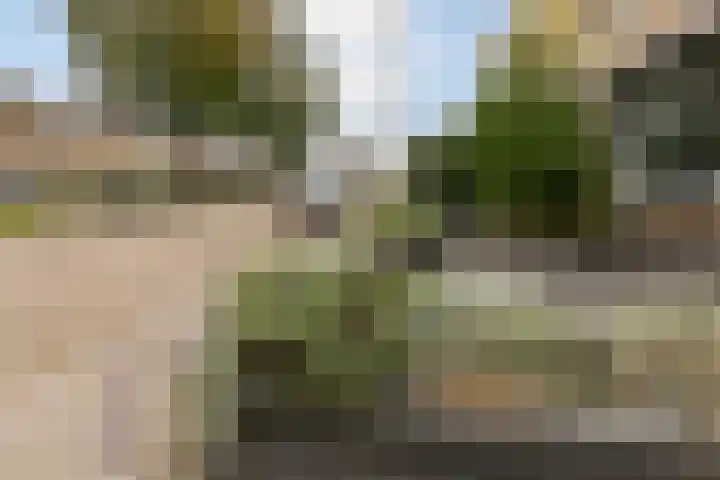 Kennedylaan 51 Ossendrecht thumbnail 39