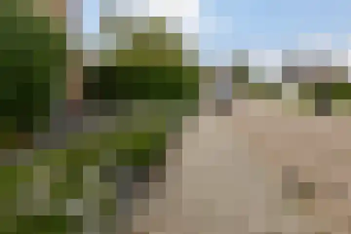 Kennedylaan 51 Ossendrecht thumbnail 40