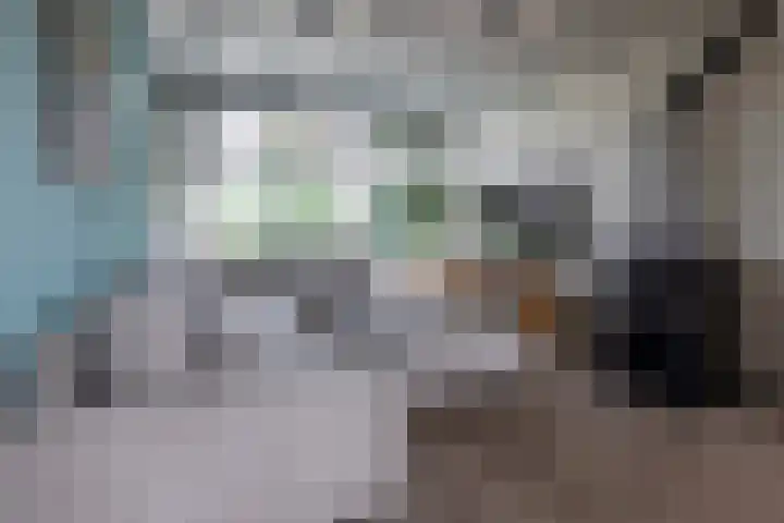 Kennedylaan 51 Ossendrecht thumbnail 5
