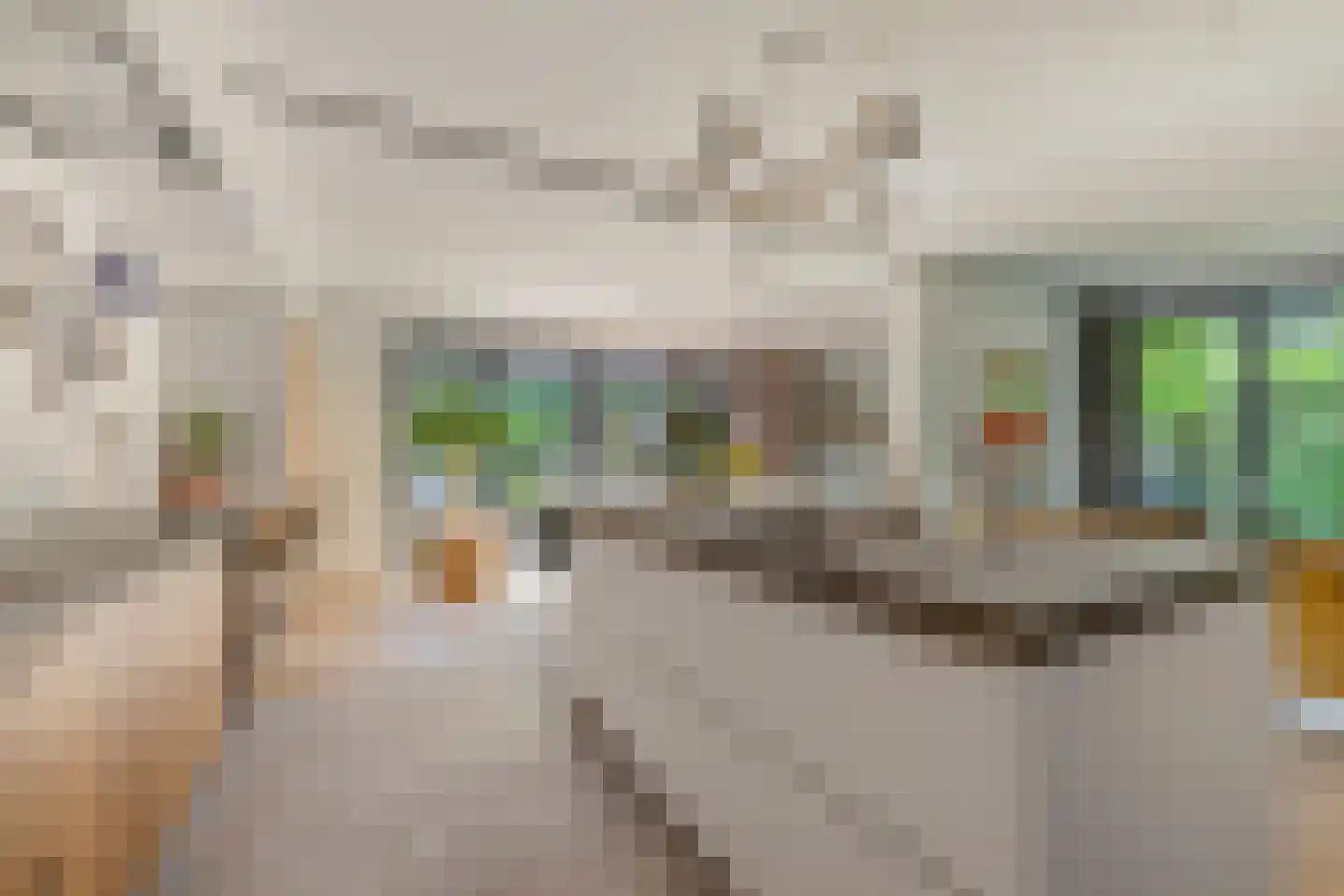 Kennedylaan 6 Doorwerth thumbnail 13