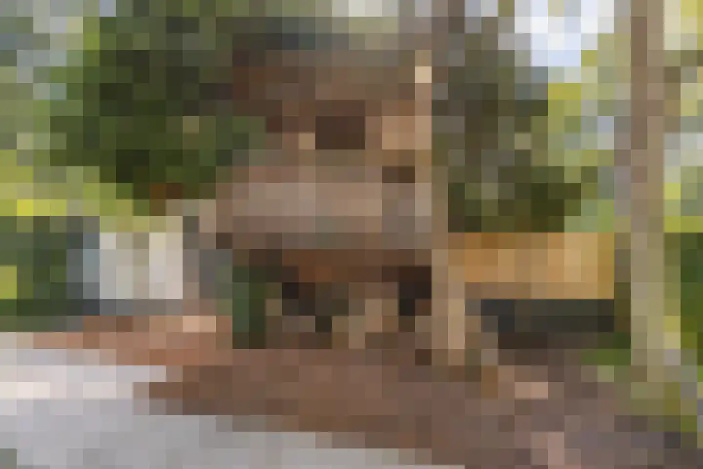 Kennedylaan 6 Doorwerth thumbnail 17