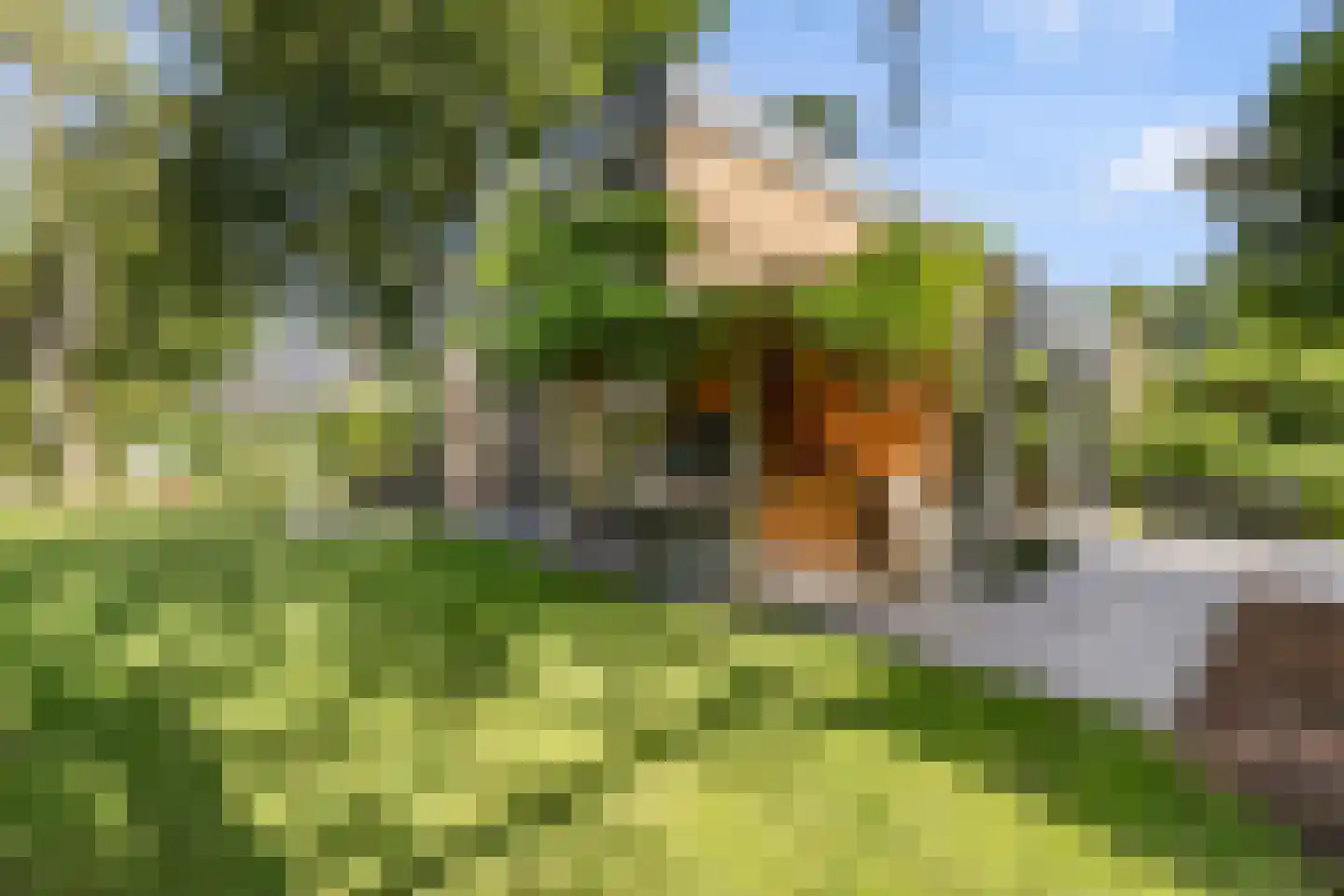 Kennedylaan 6 Doorwerth thumbnail 18