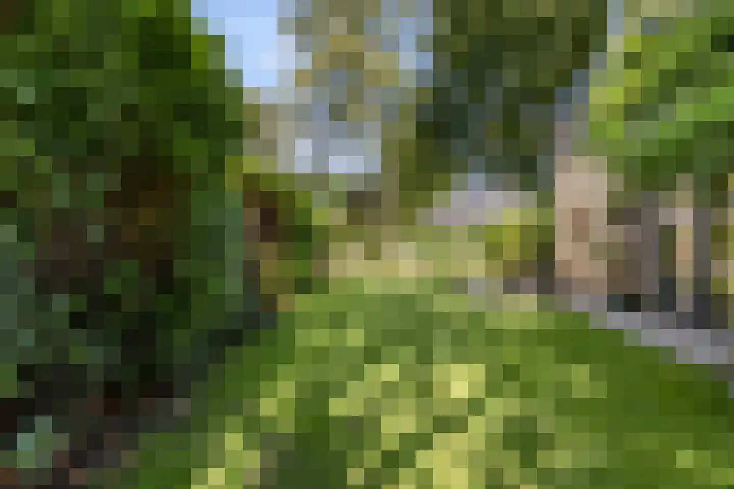 Kennedylaan 6 Doorwerth thumbnail 19