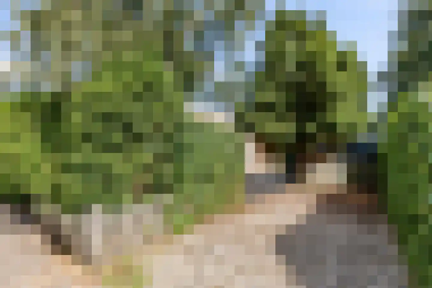 Kennedylaan 6 Doorwerth thumbnail 21