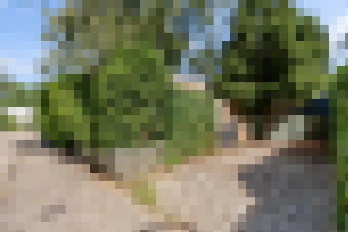 Kennedylaan 6 Doorwerth thumbnail 22