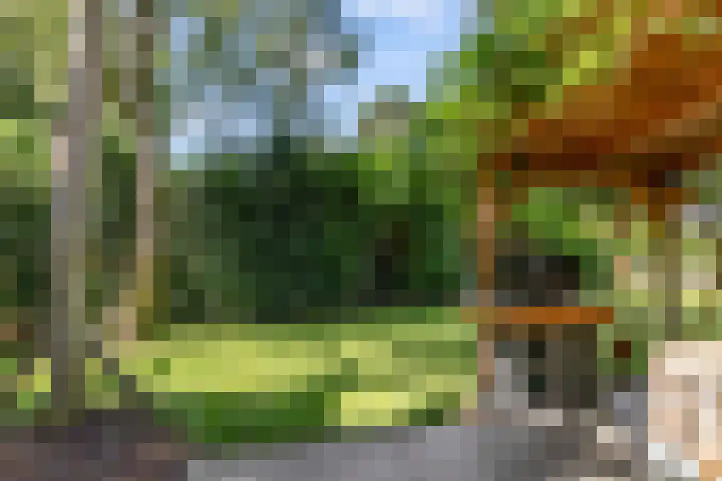 Kennedylaan 6 Doorwerth thumbnail 24