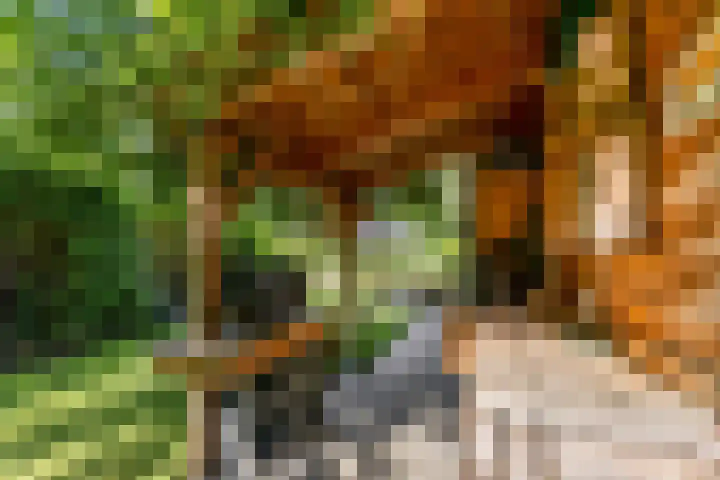 Kennedylaan 6 Doorwerth thumbnail 25