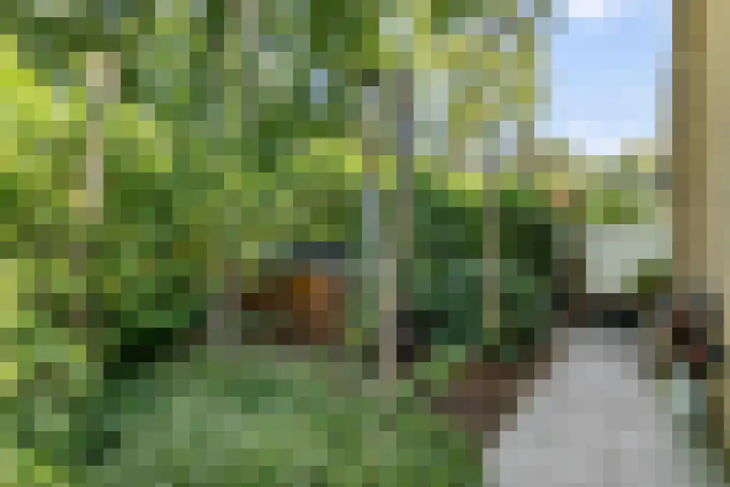 Kennedylaan 6 Doorwerth thumbnail 29