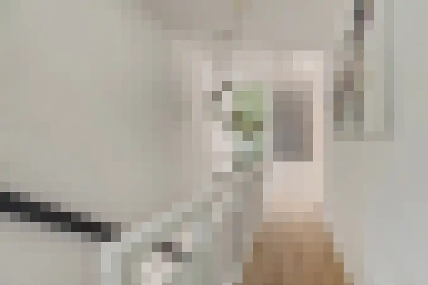 Kennedylaan 6 Doorwerth thumbnail 30