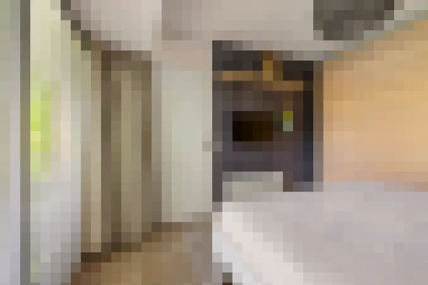 Kennedylaan 6 Doorwerth thumbnail 33