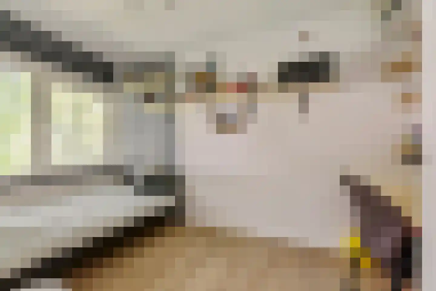 Kennedylaan 6 Doorwerth thumbnail 36