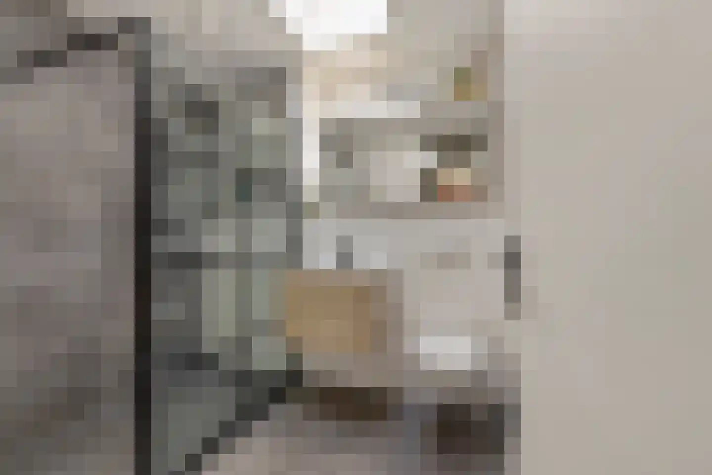 Kennedylaan 6 Doorwerth thumbnail 40