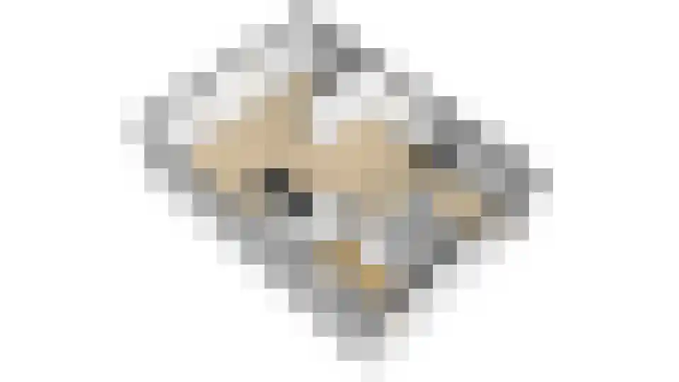 Kennedylaan 6 Doorwerth thumbnail 43