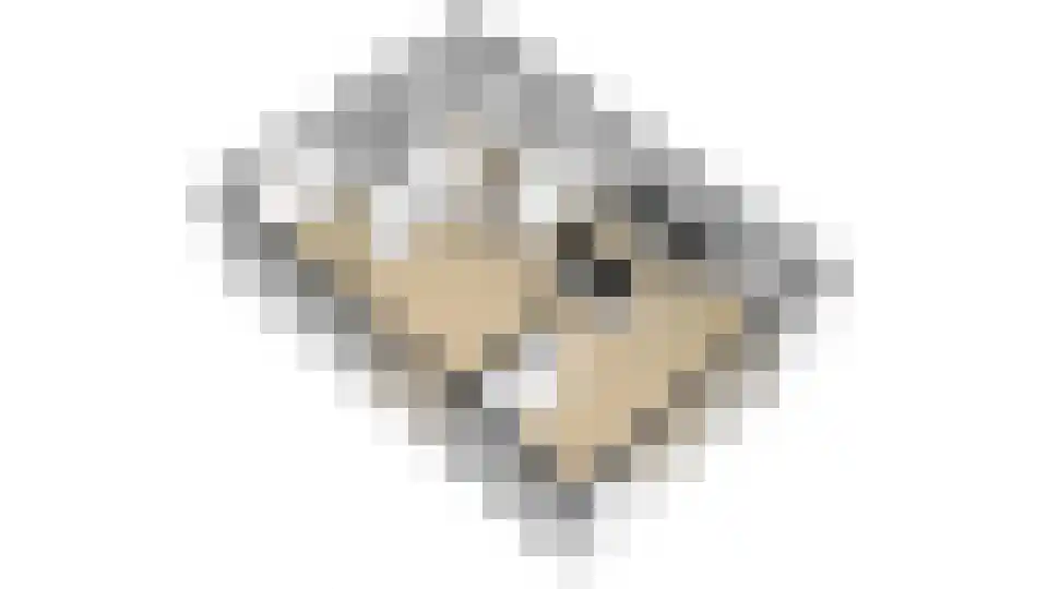 Kennedylaan 6 Doorwerth thumbnail 44