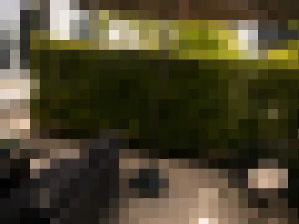Kennedylaan 61 Goirle thumbnail 6