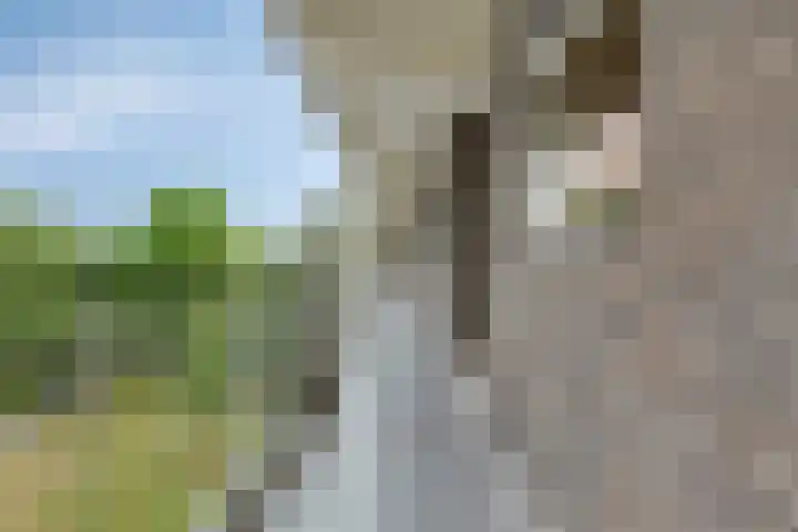 Kennedylaan 62 Leiden thumbnail 6