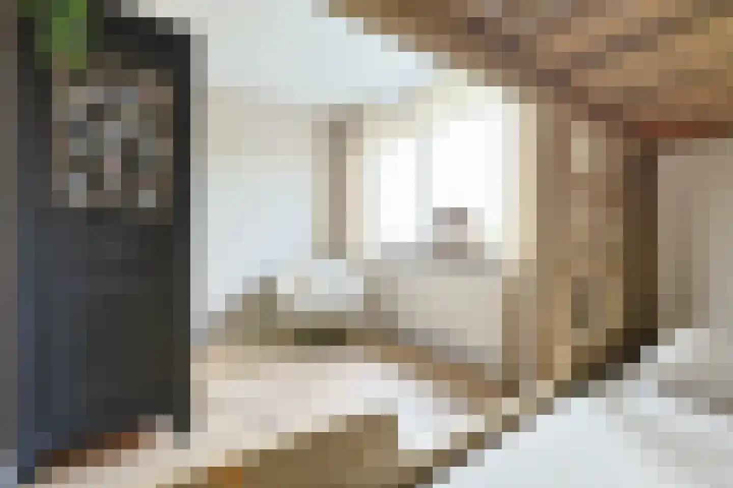 Kennedylaan 64 Nieuwkoop thumbnail 36