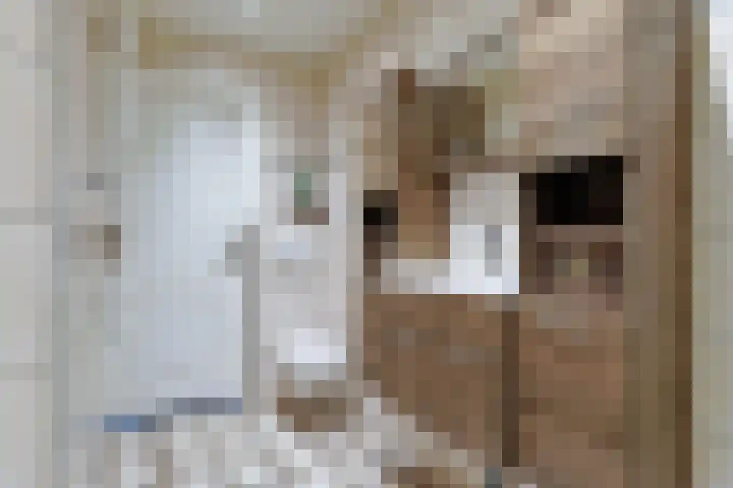 Kennedylaan 64 Nieuwkoop thumbnail 44