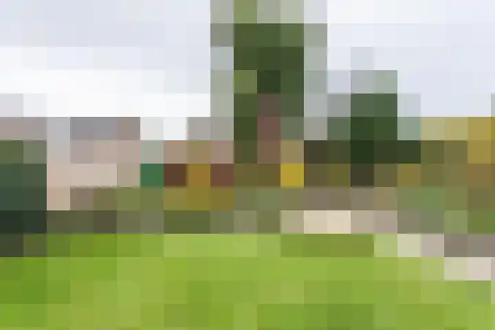 Kennedylaan 8 Brunssum thumbnail 25